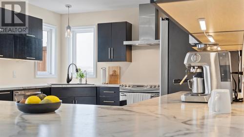 3 Eider Place, Paradise, NL - Indoor Photo Showing Kitchen With Upgraded Kitchen