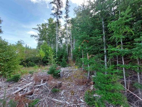 Lot 23 Sky Way, Big Harbour, NS 