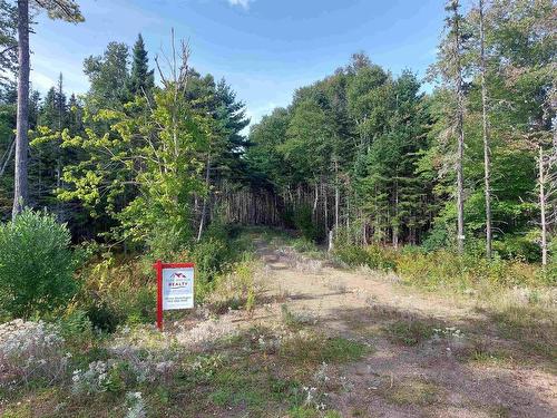 Lot 23 Sky Way, Big Harbour, NS 