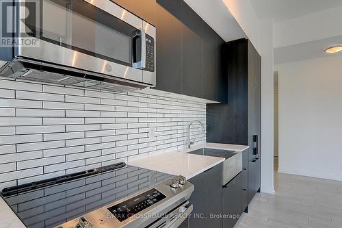 Lph3 - 270 Dufferin Street, Toronto, ON - Indoor Photo Showing Kitchen With Upgraded Kitchen