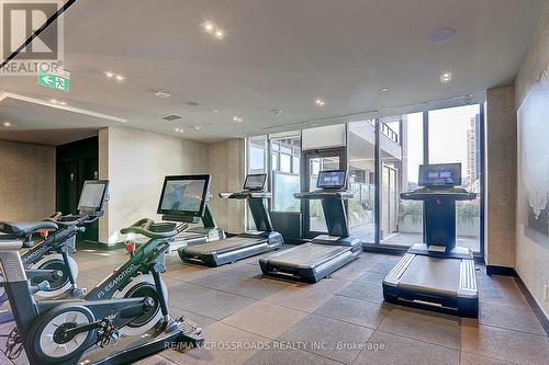 Lph3 - 270 Dufferin Street, Toronto, ON - Indoor Photo Showing Gym Room