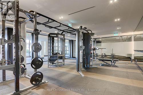 Lph3 - 270 Dufferin Street, Toronto, ON - Indoor Photo Showing Gym Room