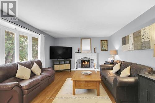 155 Brooks Road, Beckwith, ON - Indoor Photo Showing Living Room With Fireplace