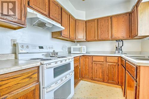 1567 Curry Avenue, Windsor, ON - Indoor Photo Showing Kitchen With Double Sink