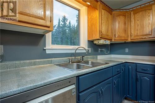 2999 Red Head, Saint John, NB - Indoor Photo Showing Kitchen With Double Sink