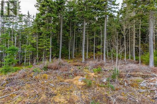 2999 Red Head, Saint John, NB - Outdoor With View