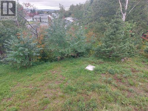 3 Harbourview Terrace, Lewisporte, NL - Outdoor