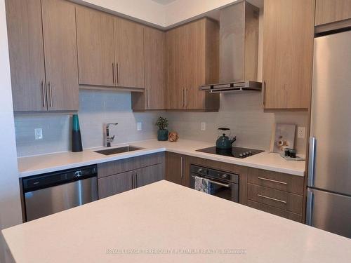 2005-2087 Fairview St, Burlington, ON - Indoor Photo Showing Kitchen With Upgraded Kitchen