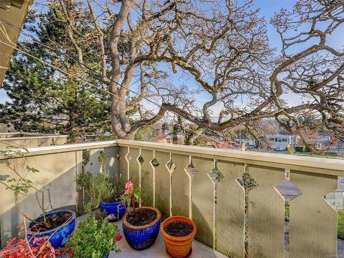 292 Memorial Cres South, Victoria, BC - Outdoor With View