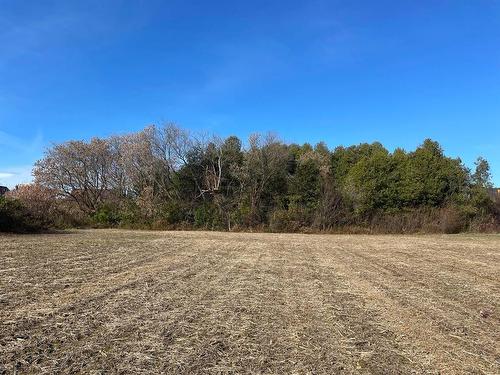 Land/Lot - 501Z  - 503Z Rue St-Patrice, Saint-Patrice-De-Sherrington, QC - Outdoor With View