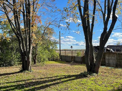 Backyard - 501Z  - 503Z Rue St-Patrice, Saint-Patrice-De-Sherrington, QC - Outdoor