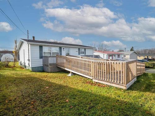 66 Tillock Drive, Sydney, NS 