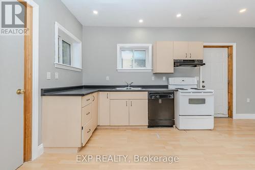 12 Fleet Street, Brantford, ON - Indoor Photo Showing Kitchen With Double Sink