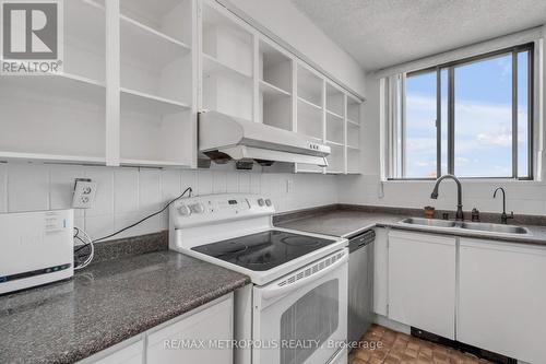 1105 - 99 Blackwell Avenue, Toronto, ON - Indoor Photo Showing Kitchen With Double Sink