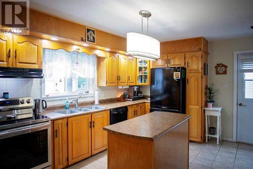 6 Griffin Place, Gander, NL - Indoor Photo Showing Kitchen With Double Sink