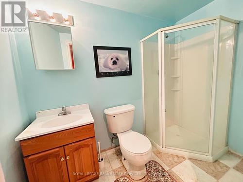 675 Madame Street, Mississauga, ON - Indoor Photo Showing Bathroom