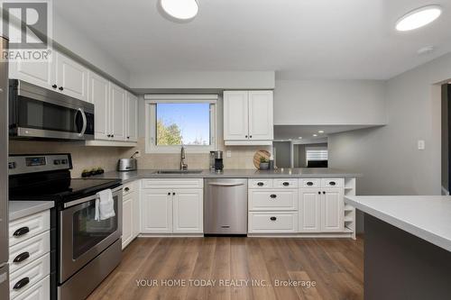 20 Faludon Drive, Halton Hills, ON - Indoor Photo Showing Kitchen