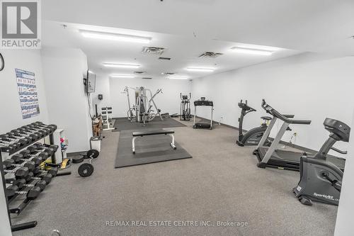 502 - 20 Mcfarlane Drive, Halton Hills, ON - Indoor Photo Showing Gym Room