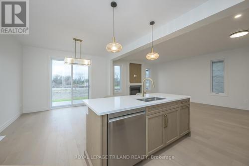 4211 Liberty Crossing, London, ON - Indoor Photo Showing Kitchen With Double Sink