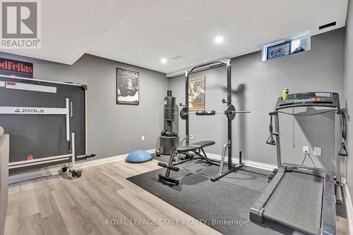 30 Philomena Drive, Hamilton, ON - Indoor Photo Showing Gym Room