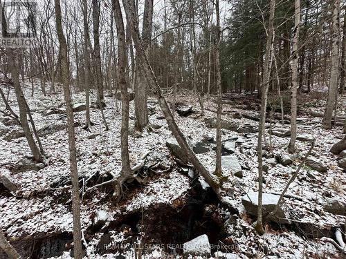 Lot 0 Fire Route 394, Galway-Cavendish And Harvey, ON 