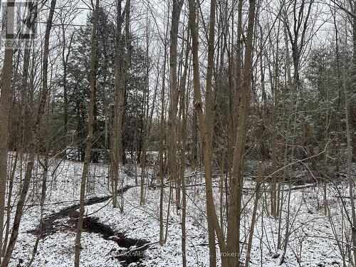 Lot 0 Fire Route 394, Galway-Cavendish And Harvey, ON 