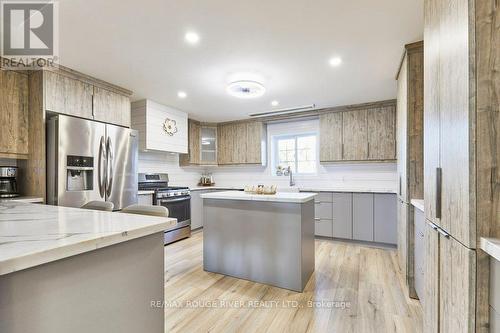 81 Laird Drive, Kawartha Lakes, ON - Indoor Photo Showing Kitchen With Upgraded Kitchen