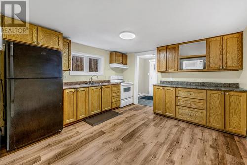 74 Brazil Street, St. John'S, NL - Indoor Photo Showing Kitchen