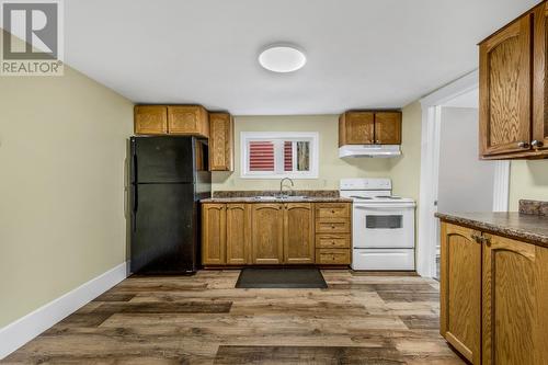 74 Brazil Street, St. John'S, NL - Indoor Photo Showing Kitchen