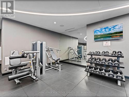 215 - 286 Main Street, Toronto, ON - Indoor Photo Showing Gym Room