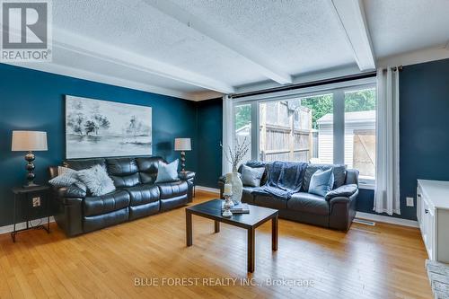 12 Somerset Crescent, London, ON - Indoor Photo Showing Living Room