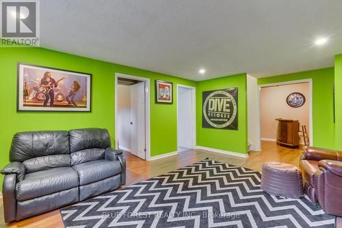 12 Somerset Crescent, London, ON - Indoor Photo Showing Living Room