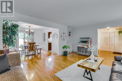 12 Somerset Crescent, London, ON - Indoor Photo Showing Living Room