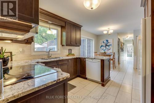 12 Somerset Crescent, London, ON - Indoor Photo Showing Kitchen With Double Sink