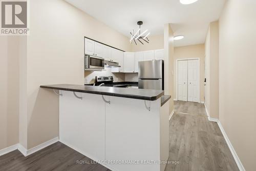 1020 Redtail Pvt, Ottawa, ON - Indoor Photo Showing Kitchen