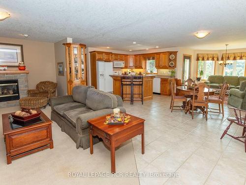 101 Conservation Tr, Centre Wellington, ON - Indoor Photo Showing Living Room With Fireplace