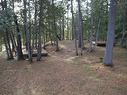 Land/Lot - 298 Ch. Godin, Déléage, QC 