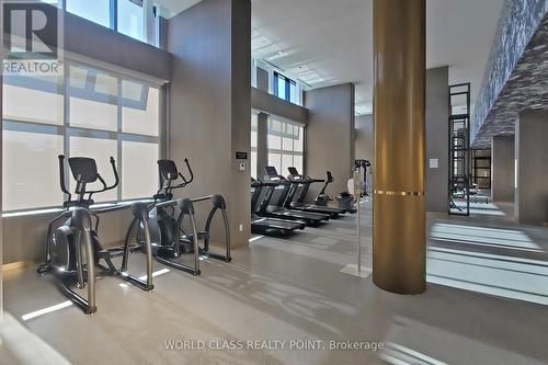 818 - 395 Dundas Street W, Oakville, ON - Indoor Photo Showing Gym Room