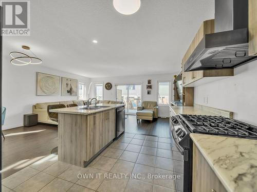 13 Shedrow Place, Kitchener, ON - Indoor Photo Showing Kitchen With Double Sink