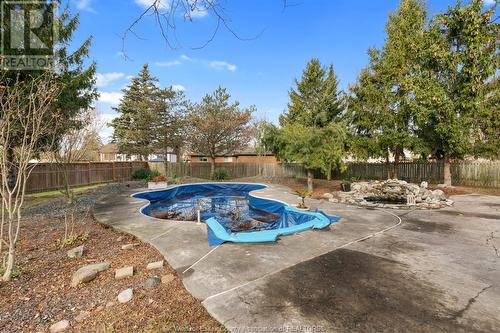 169 Ryan Street, Amherstburg, ON - Outdoor With In Ground Pool With Backyard