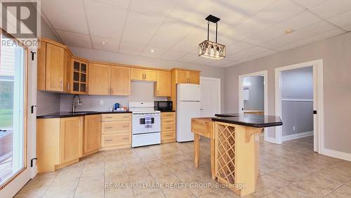 103 Lady Slipper Way, Ottawa, ON - Indoor Photo Showing Kitchen