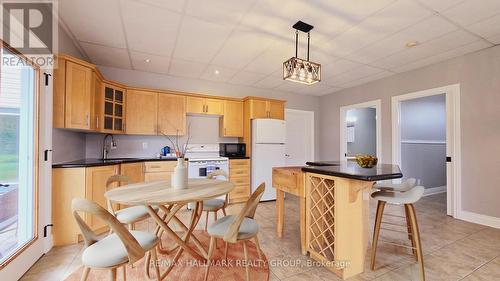 103 Lady Slipper Way, Ottawa, ON - Indoor Photo Showing Kitchen