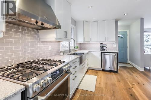 17 Moultrey Crescent, Halton Hills, ON - Indoor Photo Showing Kitchen With Upgraded Kitchen