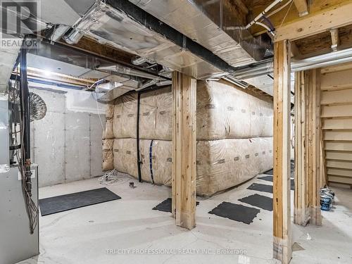 72 Fruitvale Circle, Brampton, ON - Indoor Photo Showing Basement