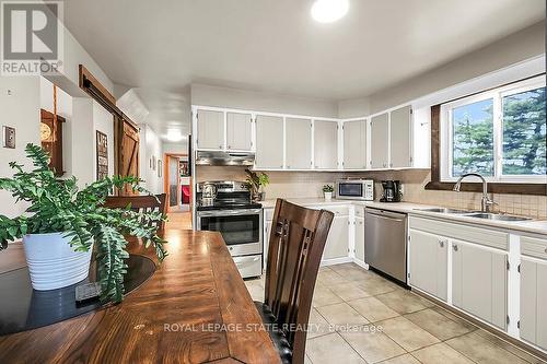 3173 Young Road, Haldimand, ON - Indoor Photo Showing Kitchen With Double Sink