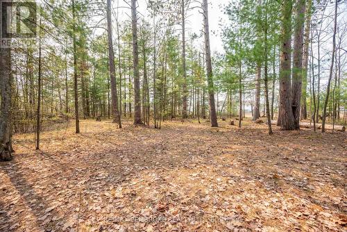 36 Labine Crescent, Petawawa, ON - Outdoor With View