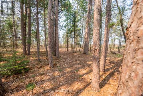 36 Labine Crescent, Petawawa, ON - Outdoor With View