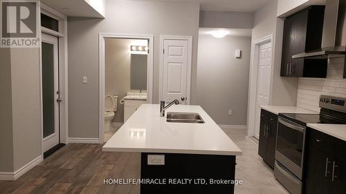 38 Oat Lane, Kitchener, ON - Indoor Photo Showing Kitchen With Double Sink