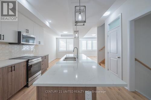 317 Mullighan Gardens, Smith-Ennismore-Lakefield, ON - Indoor Photo Showing Kitchen With Double Sink With Upgraded Kitchen