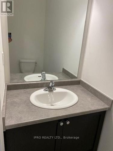 23 Bilanski Farm Road, Brantford, ON - Indoor Photo Showing Bathroom